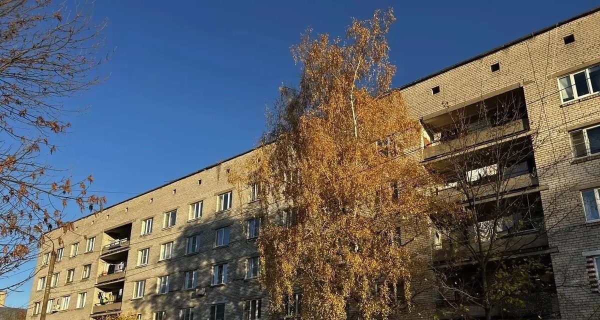 После ссоры в общежитии ранее судимый сосед забрал два телефона и сдал их в ломбард