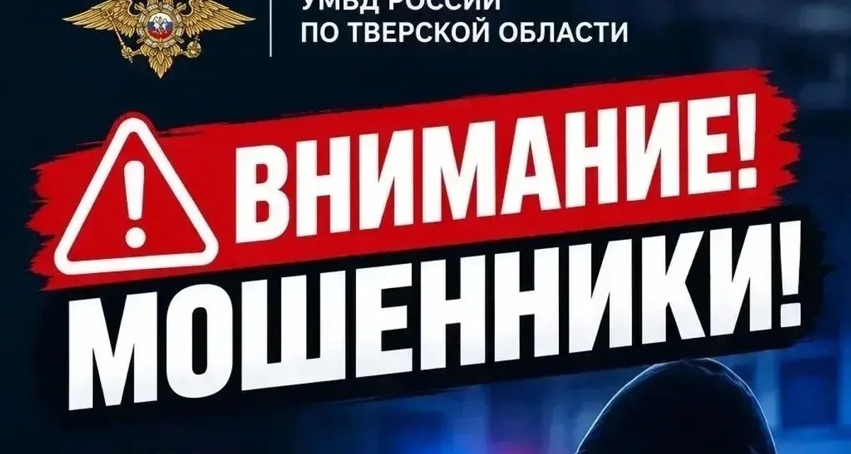 Тверичанка перевела 23 тысячи за собачий вольер и осталась без покупки