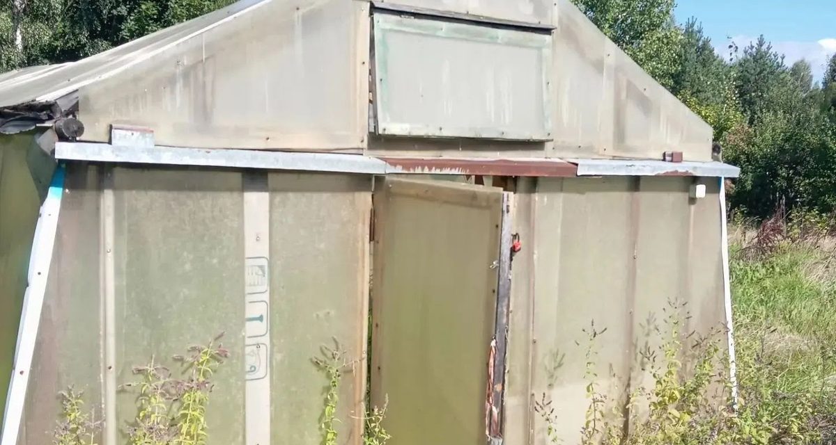 На даче в Удомле нашли теплицу с 68 кустами конопли, завели уголовное дело