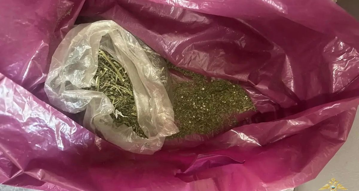 Хозяйка приехала проверить квартирантку, а полиция нашла наркотики в двух квартирах