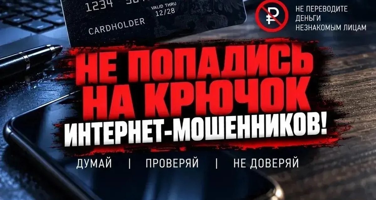 Жительница Кашина перевела 14 тысяч рублей незнакомцу, пригрозившему усыпить её пропавшую кошку